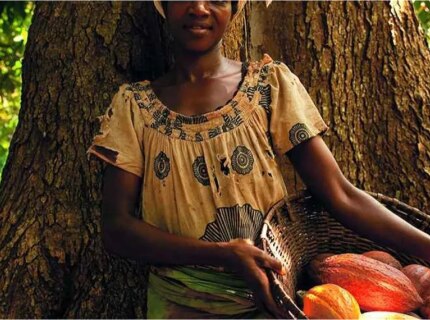 Nestle cocoa plan