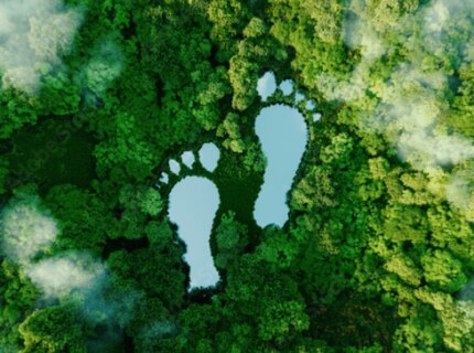carbon footprint