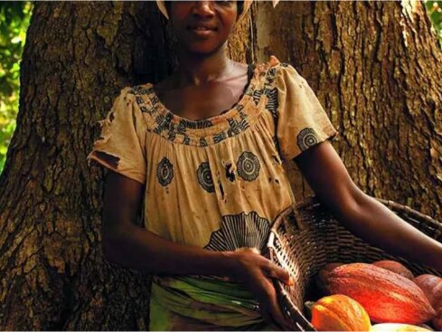 Nestle cocoa plan